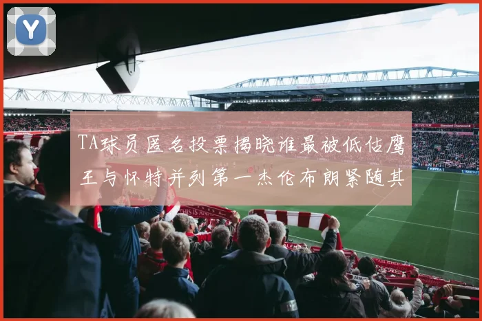 TA球员匿名投票揭晓谁最被低估鹰王与怀特并列第一杰伦布朗紧随其后