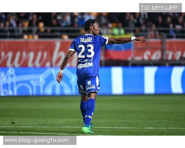 卡迪夫城就萨拉坠机事件向南特提出12亿欧元索赔请求